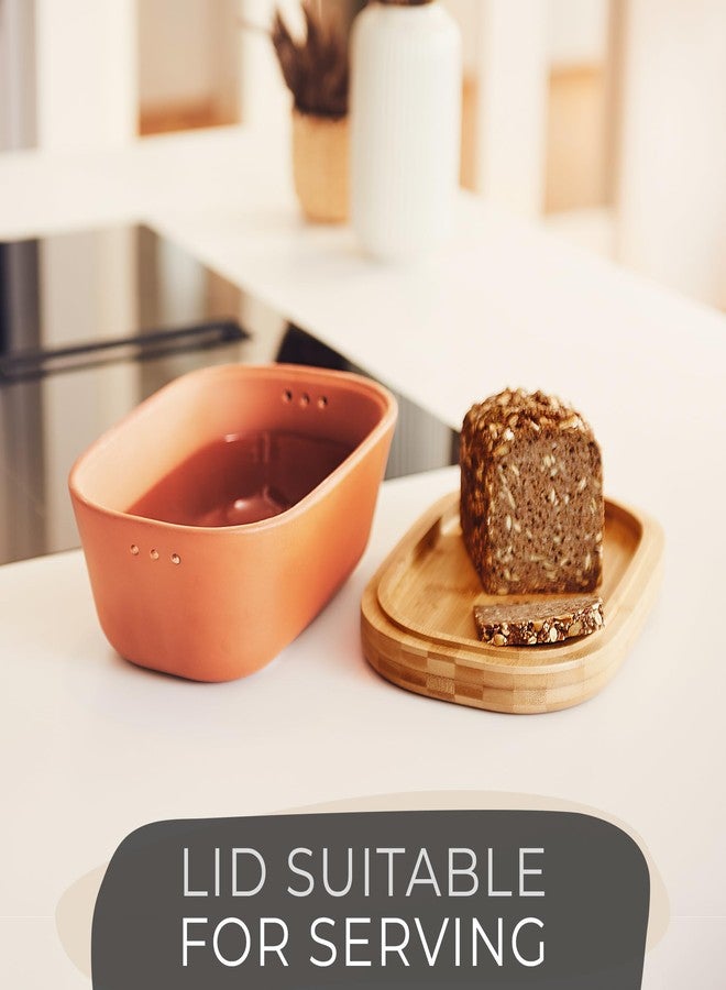Steinzeit Bread Box Made from Breathable Terracotta (9.8x5.1x3.9 inches) - Keeps Bread Fresh Longer - Bread Box for Kitchen Countertop - Bread Storage for Homemade Sourdough Bread - Image 4